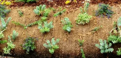 AQUAGART - 11 m filet anti-érosion en fibre de coco 1 m de large, film pour bassin de jardin, natte en fibre de coco 750 g