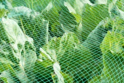 AQUAGART - Filet de bassin 5 m x 10 m, filet à feuilles, filet de silo, filet de protection contre les feuilles