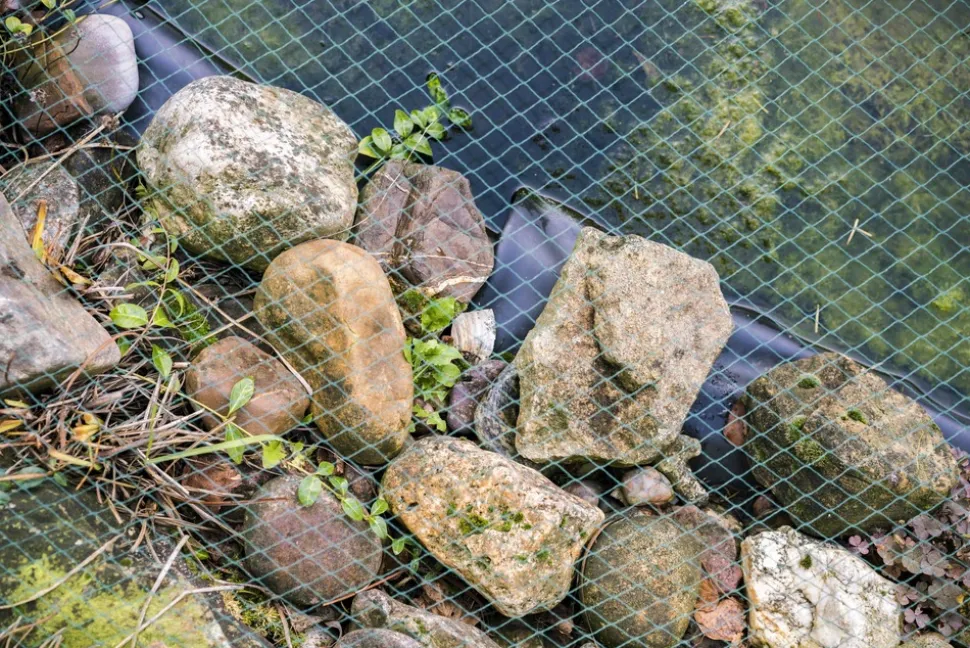 AQUAGART - Filet de bassin 4 m x 6 m, filet à feuilles, filet, filet de protection contre les oiseaux, robuste
