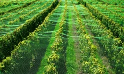AQUAGART - Filet de bassin 25 m x 12 m filet à feuilles, filet de silo, filet de protection contre les feuilles