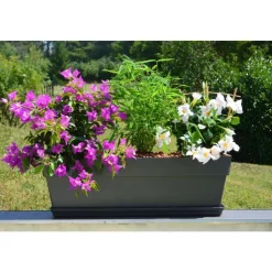 CHAPELU FRÈRES - Jardinière CocoriPot - 50cm - Ardoise