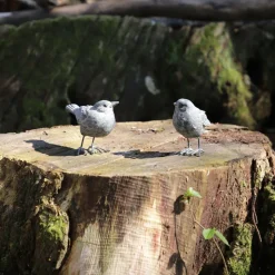 CHEMIN DE CAMPAGNE - Set de 2 oiseaux en résine gris 8.5 x 8.5 x 5.5 cm