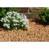 CLASSGARDEN - Gravier jaune saumon 10-15 pack de 5 m² - 10 sacs - 200 kg