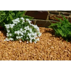 CLASSGARDEN - Gravier jaune saumon 10-15 pack de 5 m² - 20 sacs - 400 kg
