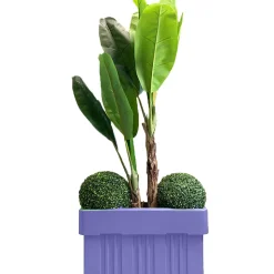 DARE WIN STORE - Jardinière bella 135l