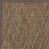DÉCOWEB - Tapis intérieur / extérieur timika - marron camel - galon marron - 140 x 200 cm
