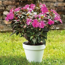 DEROMA - Pot Vaso Bigband en terre cuite émaillée Epoxy Talc - D.20cm