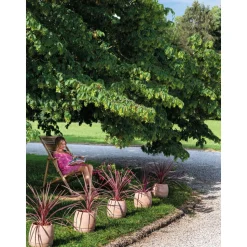 DEROMA - Pot Vaso Com'O pour plantes et fleurs en terre cuite rosée - D.35cm