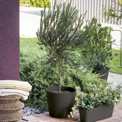 DEROMA - Pot Vaso Origin Anthracite - D.48cm