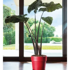 DEROMA - Pot Vaso Perfetto Bigband en terre cuite émaillée Epoxy Piment - Ø29cm