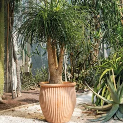 DEROMA - Vase Haut Atlas en terre cuite - H.51 x D.48cm