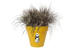 ELHO - Pot de fleurs rond loft urban - plastique - percé - réservoir - avec roulettes - ø 40 - ocre