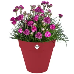 ELHO - Pot Loft rond à réserve d'eau, coloris rouge théâtre - D.19,3xH.17,5cm