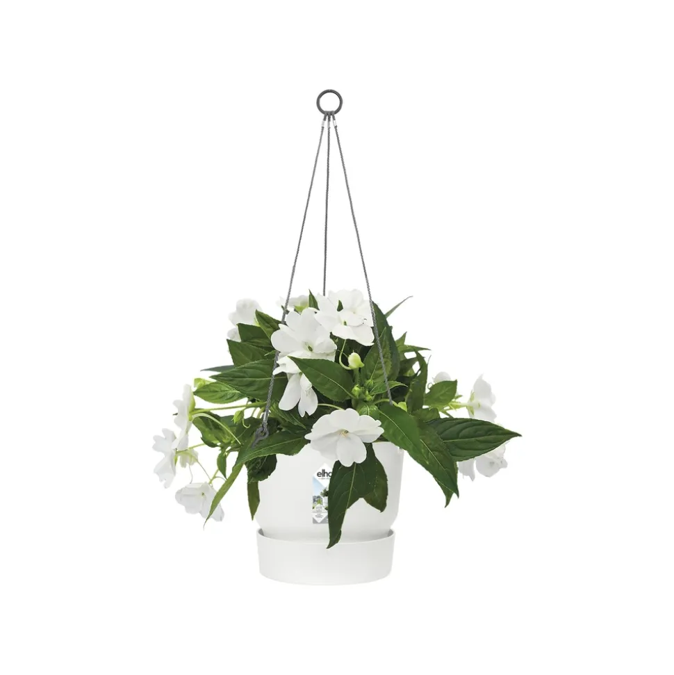 ELHO - Pot suspension Greenville rond en plastique blanc - D.23,9 cm
