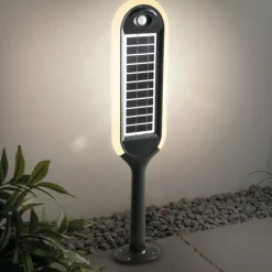 ESOTEC - Esotec solar lampe d'allée avec module solaire des deux côtés lampe solaire outdoor 102272
