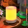 ESOTEC - Esotec solar led bougie mila 7,5x10cm lumière vacillante effet vacillant outdoor 102231