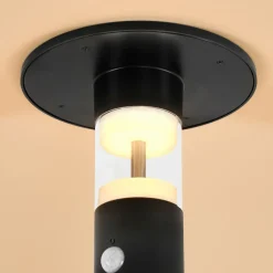 ESOTEC - Esotec solar pir lampadaire amelia 53 cm lampe solaire metal noir 102746