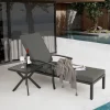 GUTENT - Chaise longue de patio avec coussin en coton, avec coussin gris imperméable (1pc)