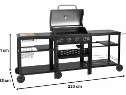 HABITAT ET JARDIN - Barbecue à gaz cuisine d'extérieur - 12 kw - 4 brûleurs - noir