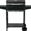 HABITAT ET JARDIN - Barbecue charbon de bois "bizon" - 119 x 50 x 101 cm - noir