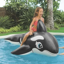 INTEX - Grande baleine à chevaucher