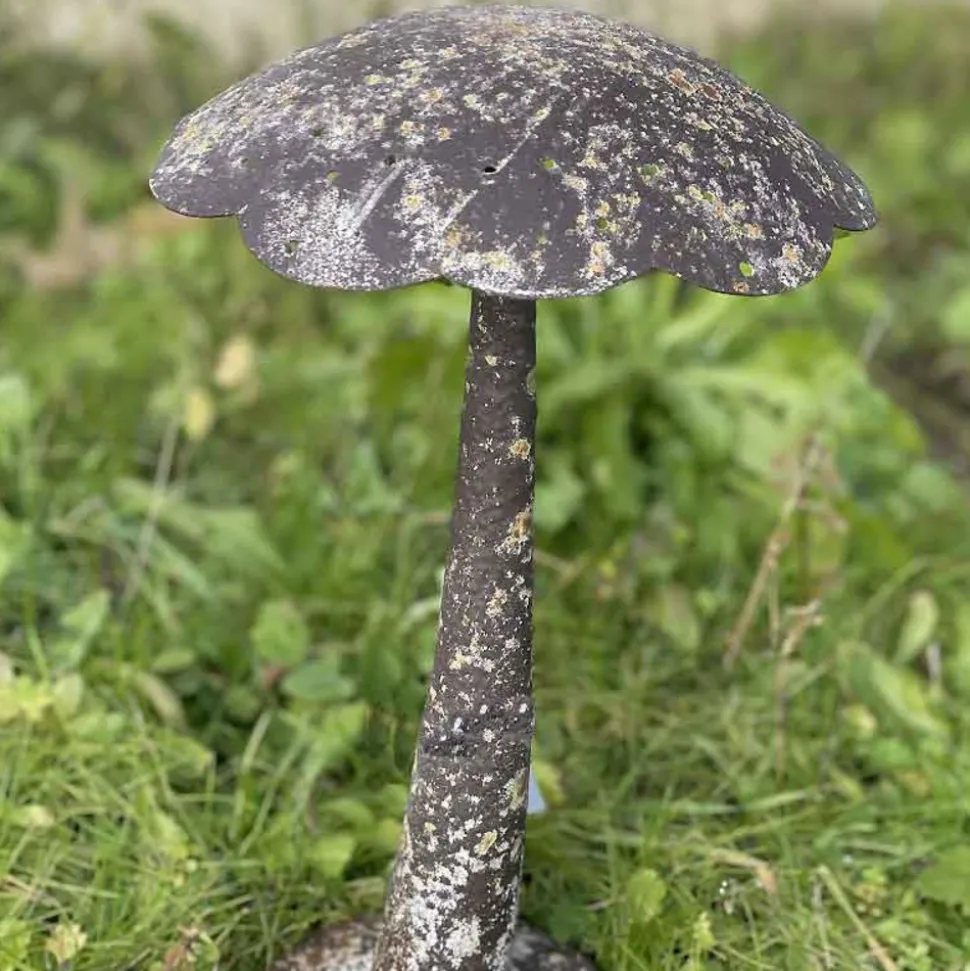 LA GRANDE PRAIRIE - Grand champignon fer 17x17x31cm