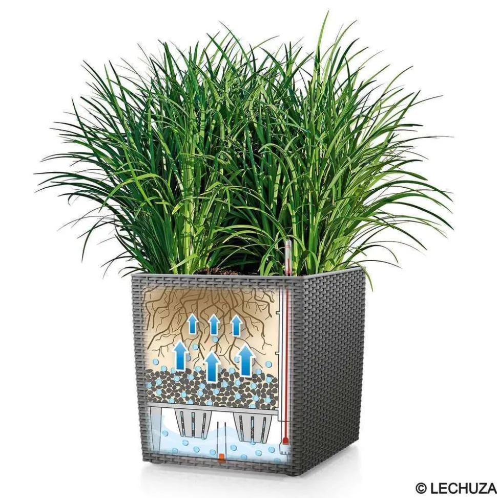 LECHUZA - Cube Cottage en polypropylène, moka L. 50 x l. 50 x H. 50 cm