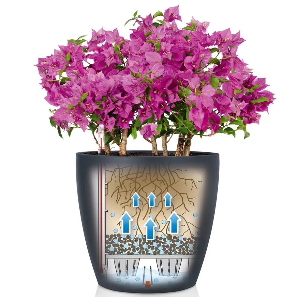 LECHUZA - Pot Classico Color, coloris gris ardoise D.43xH.40cm