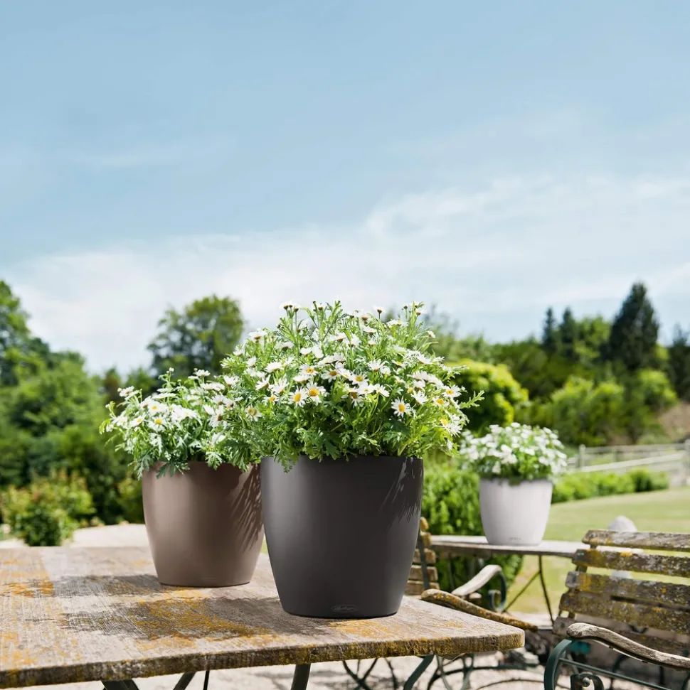 LECHUZA - Pot Classico Color en polypropylène, blanc D35 x H. 33 cm