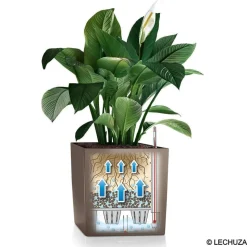 LECHUZA - Pot Cube Premium en polypropylène, blanc L. 30 x l. 30 x H. 30 cm