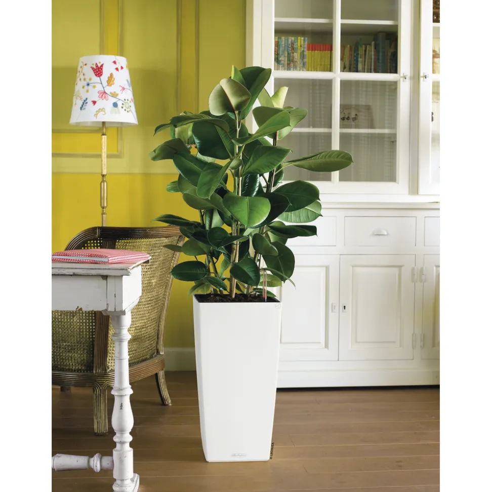 LECHUZA - Pot Cubico Color, coloris blanc D.40cm