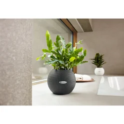 LECHUZA - Pot Puro Color, coloris gris ardoise D.20cm