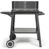 LIVOO - Livoo barbecue à charbon 48.5 x 28.8cm - doc328