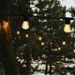 LUMISKY - Guirlande lumineuse blanc chaud 5m avec 10 ampoules led link me light - douille e27