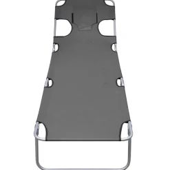 MAISON EXCLUSIVE - Chaise longue pliable et coussin de tête dossier réglable gris
