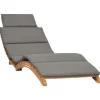 MAISON EXCLUSIVE - Chaise longue pliable avec coussin gris foncé bois de teck