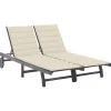 MAISON EXCLUSIVE - Chaise longue de jardin 2 places avec coussin gris acacia