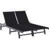 MAISON EXCLUSIVE - Chaise longue de jardin 2 places avec coussin gris acacia