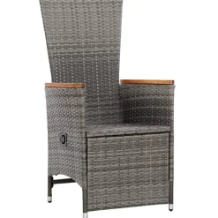 MAISON EXCLUSIVE - Chaise inclinable de jardin 2pc et coussins résine tressée gris