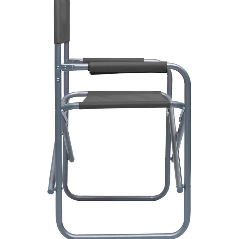 MAISON EXCLUSIVE - Chaises de metteur en scène lot de 2 acier gris