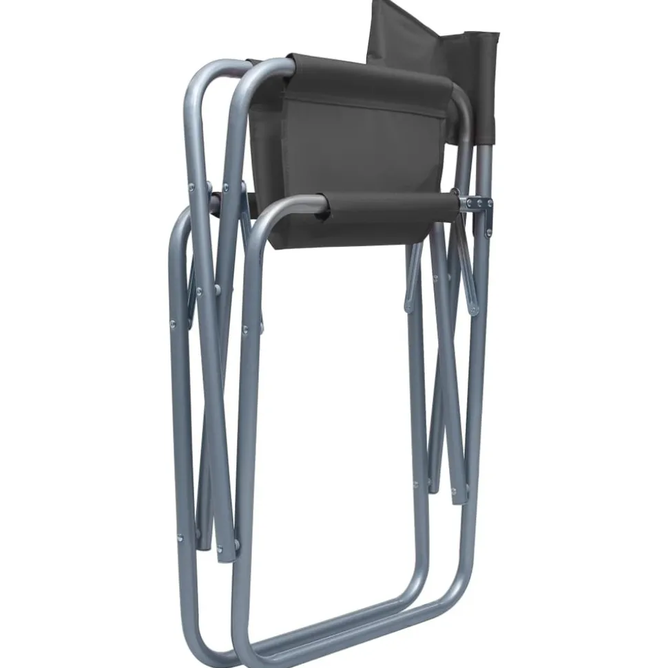 MAISON EXCLUSIVE - Chaises de metteur en scène lot de 2 acier gris