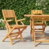 MAISON EXCLUSIVE - Chaises de jardin pliantes lot de 2 55x61x90cm bois massif teck