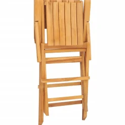 MAISON EXCLUSIVE - Chaises de jardin pliantes lot de 2 55x61x90cm bois massif teck