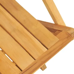 MAISON EXCLUSIVE - Chaises de jardin pliantes lot de 2 55x61x90cm bois massif teck