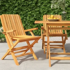 MAISON EXCLUSIVE - Chaises de jardin pliantes lot de 2 61x67x90cm bois massif teck