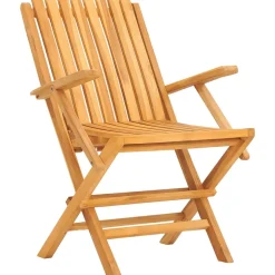 MAISON EXCLUSIVE - Chaises de jardin pliantes lot de 2 61x67x90cm bois massif teck