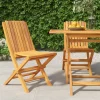 MAISON EXCLUSIVE - Chaises de jardin pliantes lot de 2 47x47x89cm bois massif teck