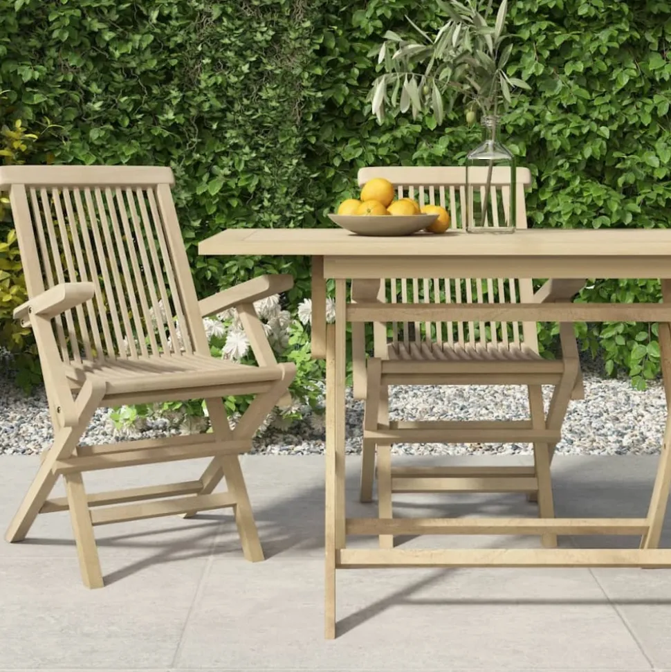 MAISON EXCLUSIVE - Chaises de jardin pliantes lot de 2 gris 56x61x89cm bois teck