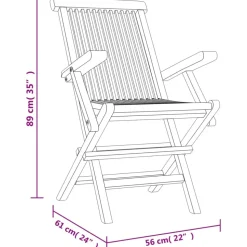MAISON EXCLUSIVE - Chaises de jardin pliantes lot de 2 gris 56x61x89cm bois teck