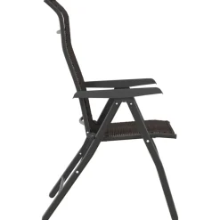 MAISON EXCLUSIVE - Chaises pliables jardin lot de 2 couleur café noir poly rotin